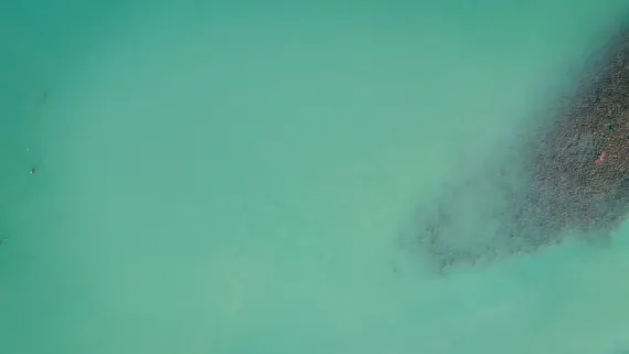 カジノ ラッキー ルーク サポート